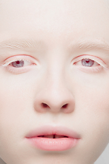 Image showing Close up portrait of beautiful albino woman isolated on studio background. Beauty, fashion, skincare, cosmetics concept. Details.