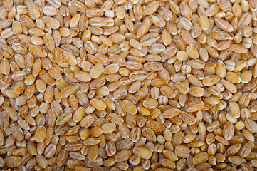 Image showing organic barley grains