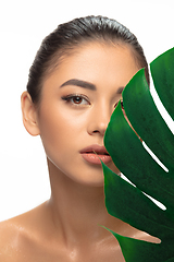 Image showing Close up young woman\'s portrait with monstera leaf on white background. Cosmetics and makeup, natural and eco treatment, skin care.