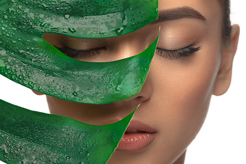 Image showing Close up young woman\'s portrait with monstera leaf on white background. Cosmetics and makeup, natural and eco treatment, skin care.