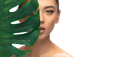 Image showing Close up young woman\'s portrait with monstera leaf on white background. Cosmetics and makeup, natural and eco treatment, skin care.