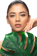 Image showing Close up young woman\'s portrait with monstera leaf on white background. Cosmetics and makeup, natural and eco treatment, skin care.