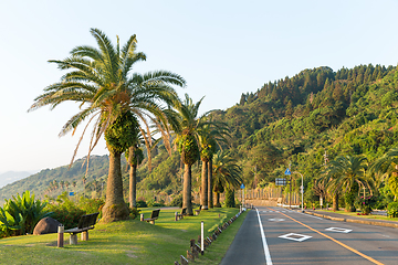 Image showing Road with palm tree