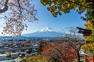 Image showing Mountain fuij with maple tree