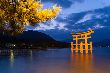 Image showing Itsukushima Shrine at sunset