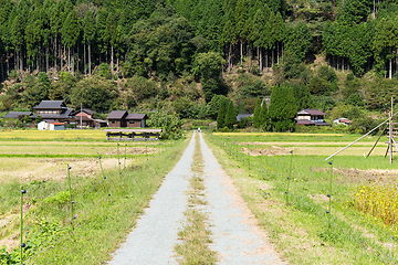 Image showing Rice field and mountain in Miyama