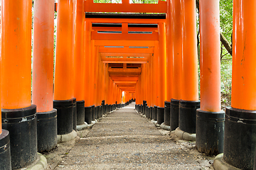 Image showing Fushimi Inari Taisha Shrine in Kyoto