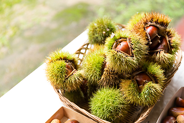 Image showing Chestnut with skin