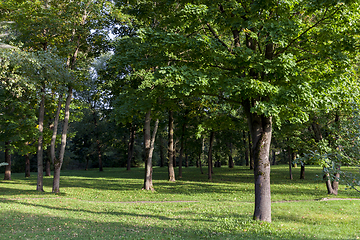 Image showing summer park