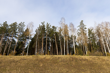 Image showing autumn landscape