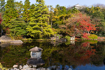 Image showing Traditional Kokoen Garden with maple tree