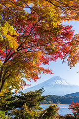 Image showing Mount Fuji which is viewed from lake Kawaguchi in autumn