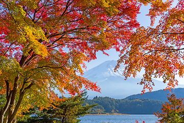 Image showing Mount fuji in autumn at Kawaguchiko