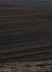 Image showing plowed black soil