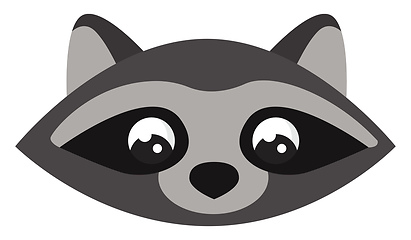 Image showing Raccoon wearing hat, vector or color illustration.