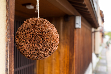 Image showing Japanese ceder ball