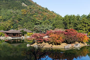 Image showing Japanese Ritsurin Garden in Autumn