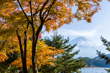 Image showing Mt.Fuji in autumn at Lake kawaguchiko in japan