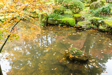 Image showing Autumn landscape in Japanese temple