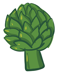 Image showing Image of artichoke, vector or color illustration.