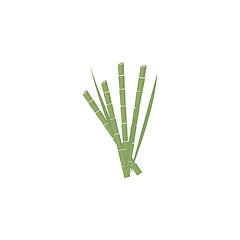 Image showing Image of bamboo, vector or color illustration.