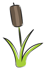 Image showing Image of bamboo, vector or color illustration.