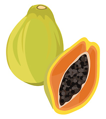 Image showing Papaya fruit, vector or color illustration.