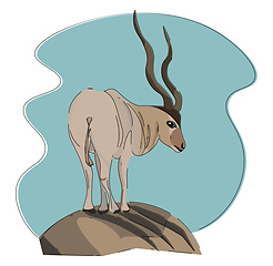 Image showing White antelope, vector or color illustration.