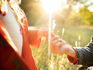 Image showing Close up hands of happy father and little cute daughter in the forest path in autumn sunny day