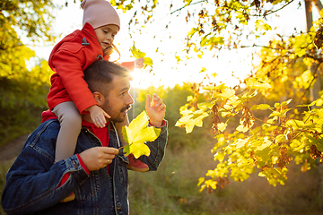 Image showing Happy father and little cute daughter walking down the forest path in autumn sunny day