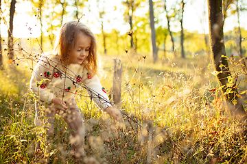 Image showing Little cute caucasian girl walking down the forest path in autumn sunny day, discovering nature