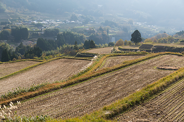 Image showing Landscape with agricultural field