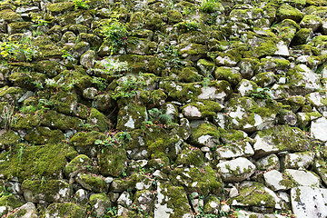 Image showing Old Brick Wall with Moss