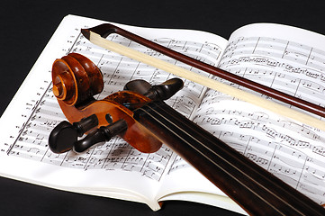 Image showing Violin