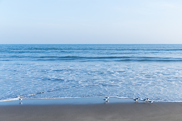 Image showing Seascape