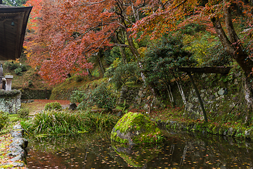 Image showing Japanese park in autumn season