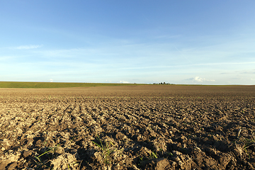 Image showing plowed agricultural field