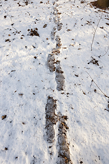 Image showing Snow drifts in winter