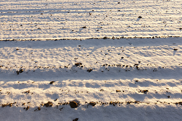 Image showing Snow after snowfall