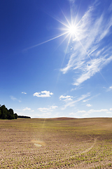 Image showing spring landscape