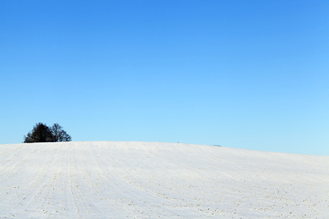 Image showing Winter time