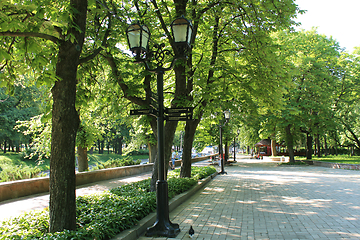 Image showing People have a rest in park with greater trees