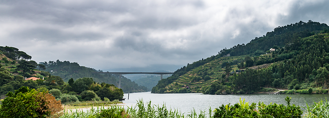 Image showing View of Douro Valley, Portugal. 