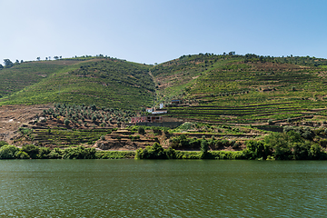 Image showing View of Douro Valley, Portugal. 