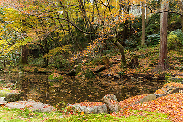 Image showing Japanese garden in autumn season