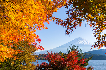 Image showing Lake kawaguchiko and Mt.Fuji in autumn season