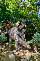 Image showing prehistoric dinosaur stegosaurus in nature