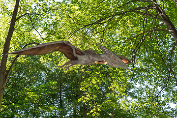 Image showing prehistoric flying dinosaur Pteranodon in nature