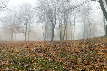 Image showing misty morning