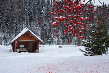 Image showing Winter holiday house in forest.